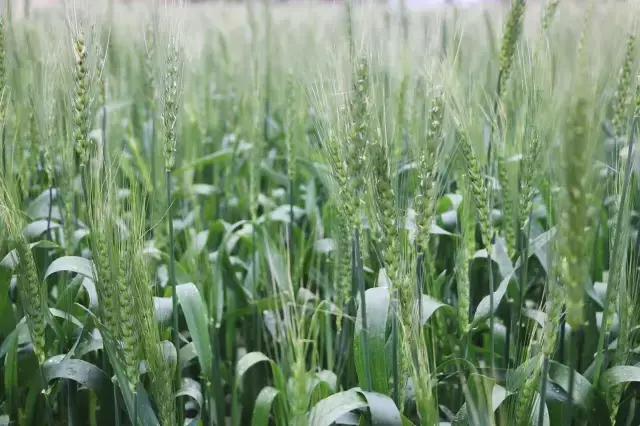 不旅行如何消耗时间,不去旅行不出门国庆假期要怎么过