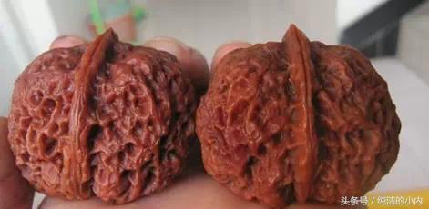 各种各样的文玩核桃图片,各种文玩的核桃图片