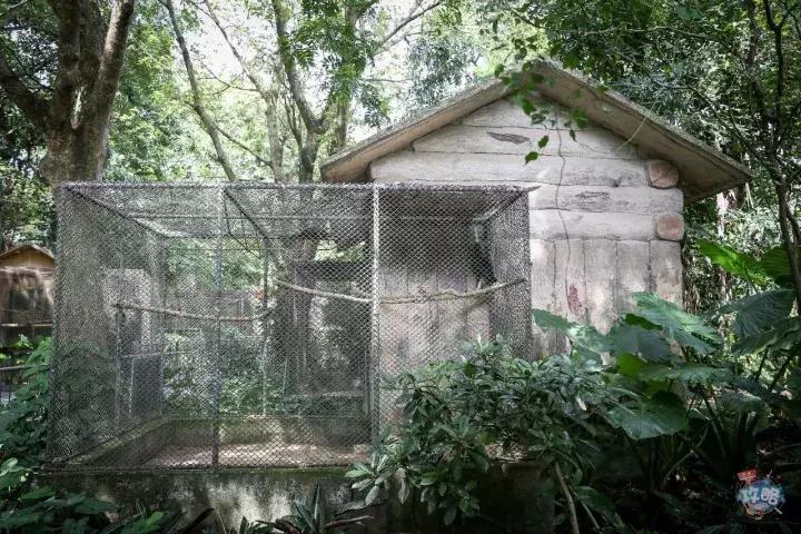 广州动物园的地图,广州动物园下一站去哪里