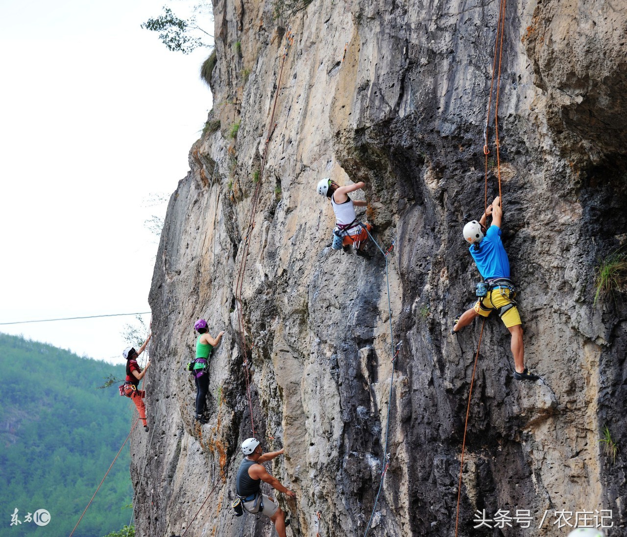 大连农家院哪个好玩,大连金州400平农家院