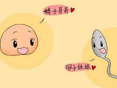 亲爱的，你连这都不懂，再备孕30年也不成！