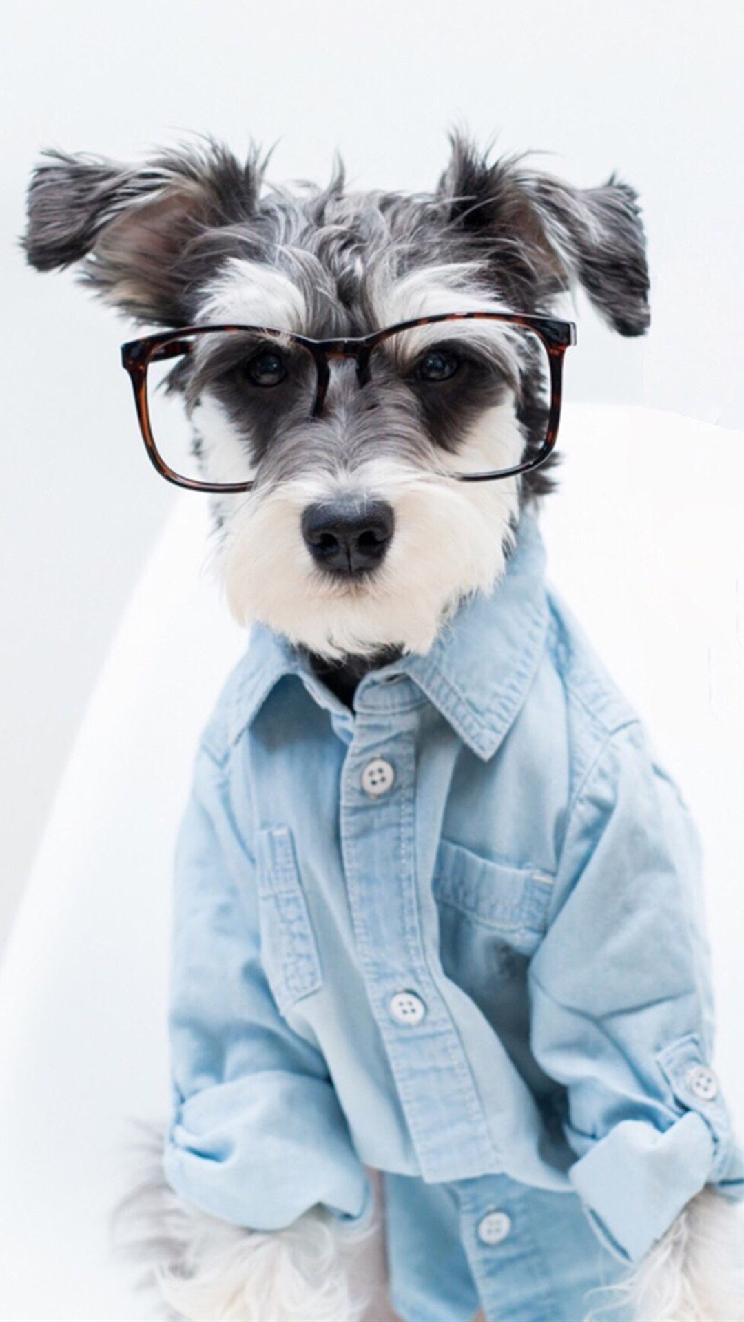 唯美1080×1920P高清壁纸锁屏画面待机背景图！请在wifi环境查看