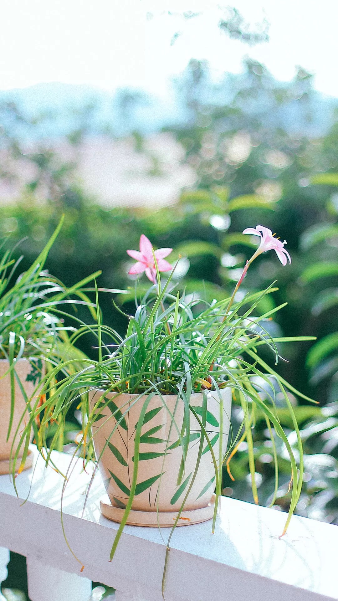 唯美1080×1920P高清壁纸锁屏画面待机背景图！请在wifi环境查看