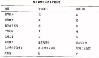 小腿粗如何改善走姿,两个小腿不一样粗怎么改善