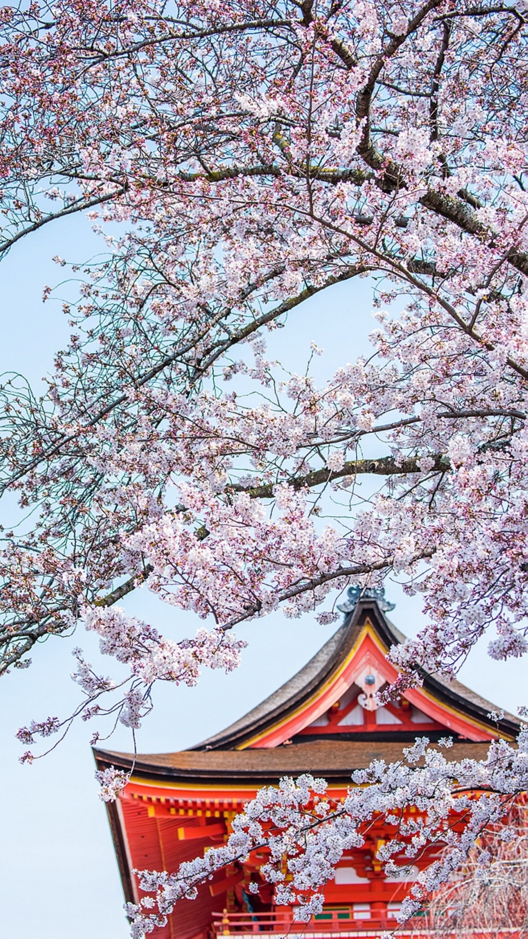 唯美1080×1920P高清壁纸锁屏画面待机背景图！请在wifi环境查看