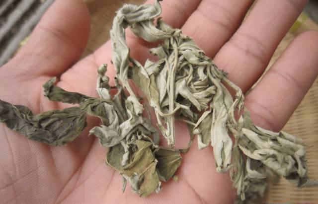 用艾草洗头怎么感觉头皮痛,用艾草水洗头头痒的原因