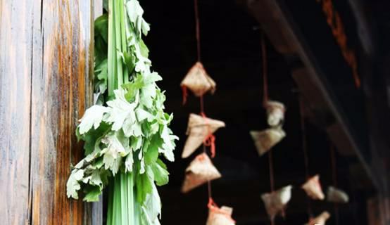 艾草煮水洗头能治银屑病吗,用艾草水洗头后长出头发