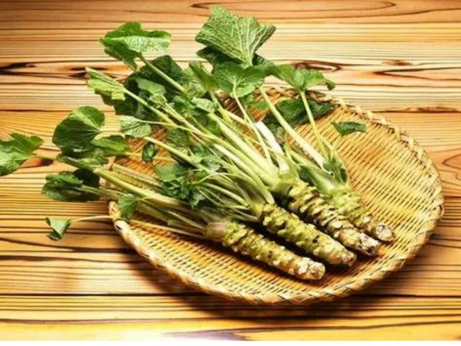 这奇臭无比的东西，竟然是女人的五*法大**宝！