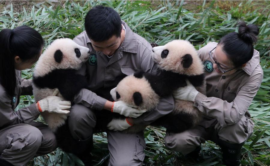 每天被人抱在怀里是什么感觉,每天都在抱大腿日常