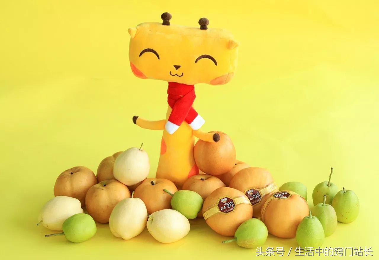 日常简单小常识,日常生活科普小知识可复制