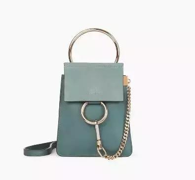 刘雯背的新款包是什么品牌,刘雯背过的一款蔻驰的包包