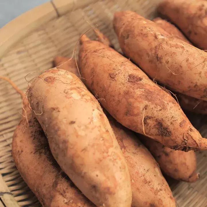 什么样的红薯好吃到偷走你的心,能让你甜到尖叫的红薯