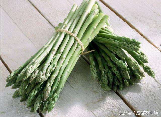 大棚芦笋种植技术视频,芦笋可以在阴处种植吗