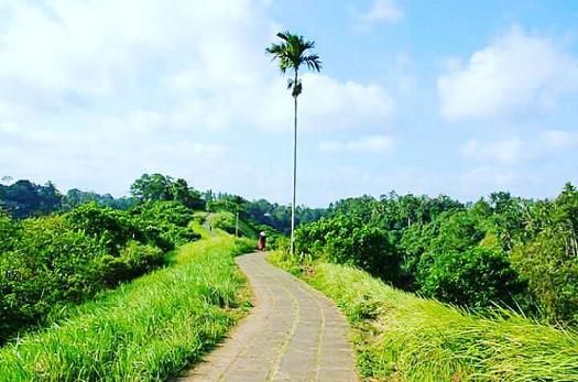 巴厘岛十大美景图,巴厘岛小众旅游攻略大全图片