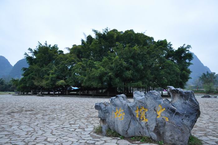 桂林比较好的旅游攻略,桂林旅游的详细攻略