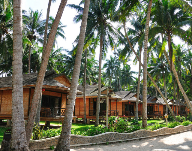 海南恋爱,谈恋爱海南