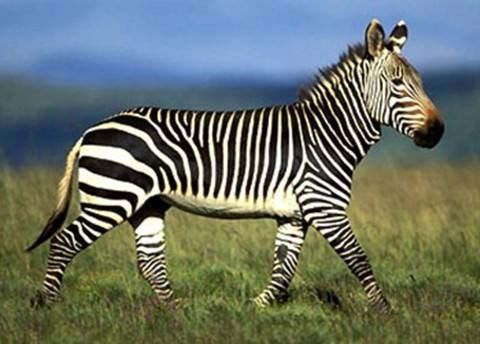 百度贴吧被封禁如何解封,百度违规贴吧怎么解封