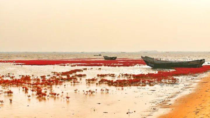 长城wey怎么样,长城wey2022款混动版