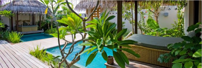 明星的马尔代夫之旅,明星去马尔代夫旅游