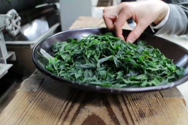 宇治抹茶为什么这么好,日本宇治抹茶