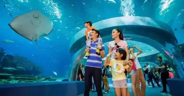 去珠海长隆海洋王国一日游,珠海长隆海洋王国玩3天攻略