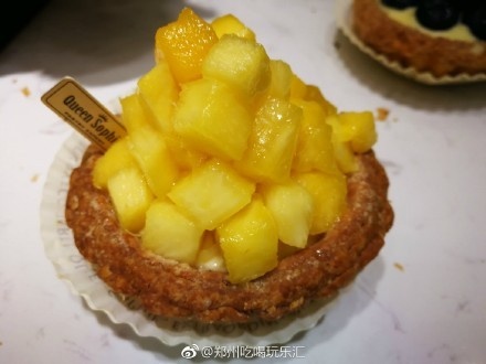 国内最全的芝士店 (郑州最好吃的芝士店)