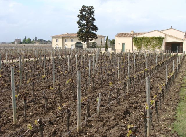 无冕之王柏图斯，波尔多最贵的葡萄酒是怎样炼成的？