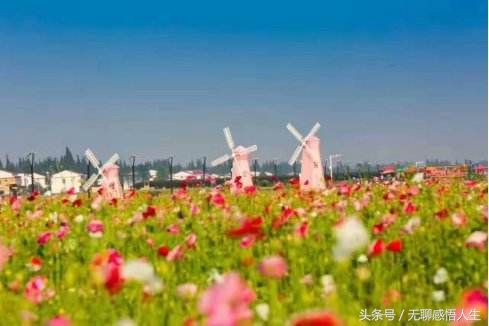 中国县域介绍——湖南省益阳市南县