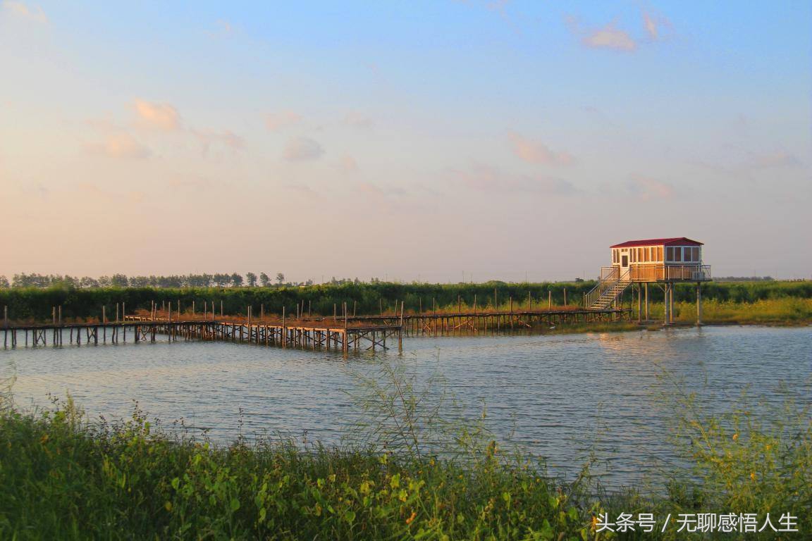 江苏省连云港灌云县有几个区,连云港灌云县有几个乡镇