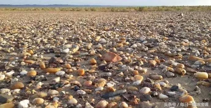 当初遍地无人识，如今身价飙千倍！现在去*疆新**捡石头，还来得及吗