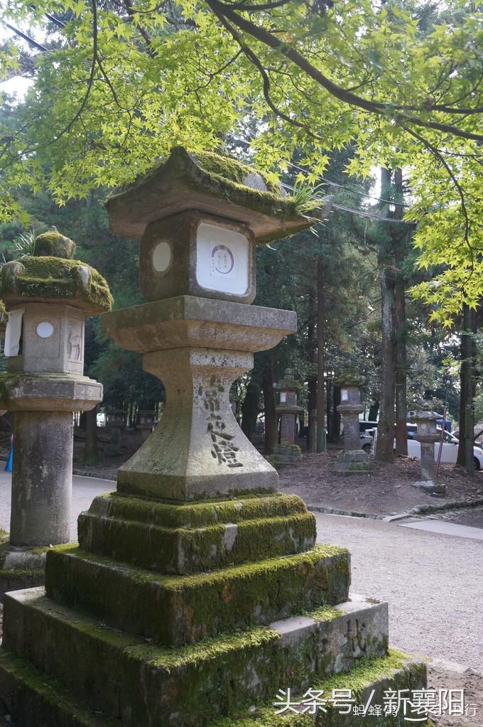 带娃去日本一周自由行,带四岁孩子去日本穷游攻略