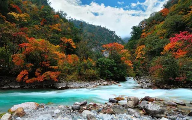 四川看红叶最佳地方自驾游,四川彩林红叶最佳观赏地点