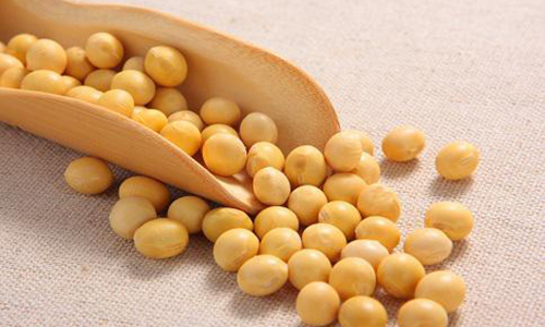 东北十大特产叫什么名字,盘点你绝对没吃过的东北特产