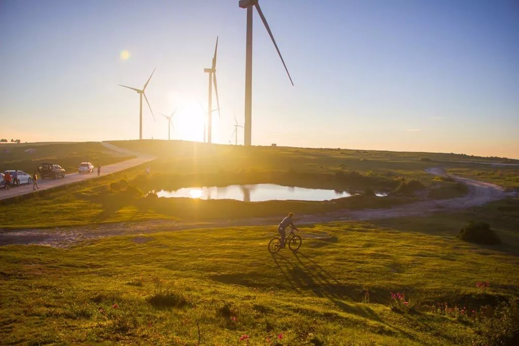 北方已经初冬了，贵州的这些地方秋意正浓，现在去正当时！