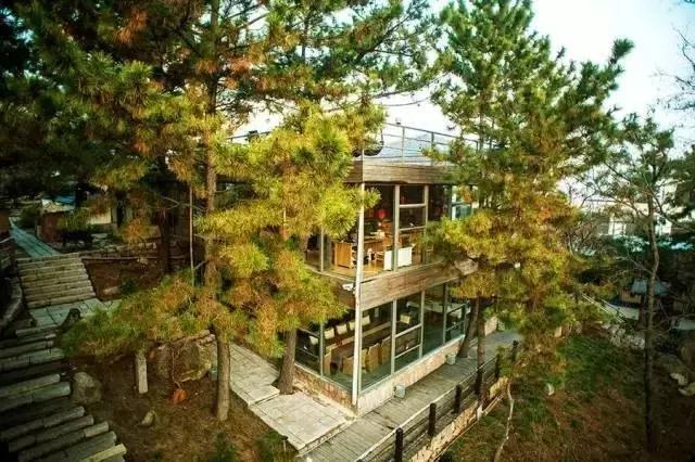 躲避浮躁城市隐身青岛首家精品民宿，一个为了孩子和逃离雾霾故事