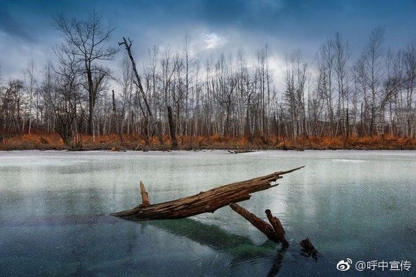 对不起我要去学校了模板,对不起我要去天津了