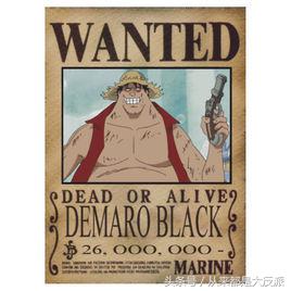 海贼王里一共出现过多少人物(四)(超新星等)