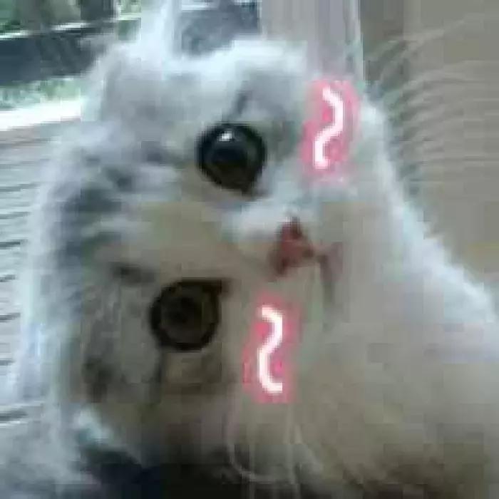 同事间结婚红包套路太多？为此我们采访了50位新娘