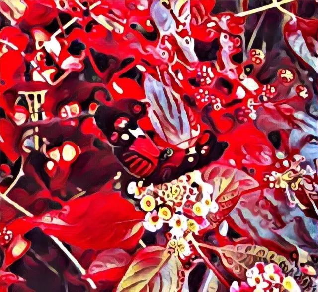 圣母婊是什么样,圣母婊跟绿茶的区别