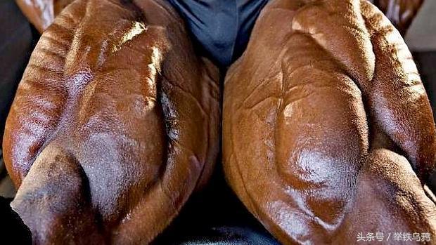 山狗训练的方法,怎样练出攻击力最强的腿法