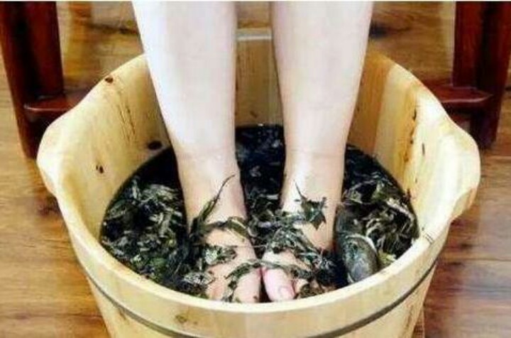 艾叶和艾条泡脚功效一样,艾草能食疗吗