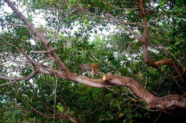 我到过许多地方是指哪里,我去过的地方皆是你看过的风景