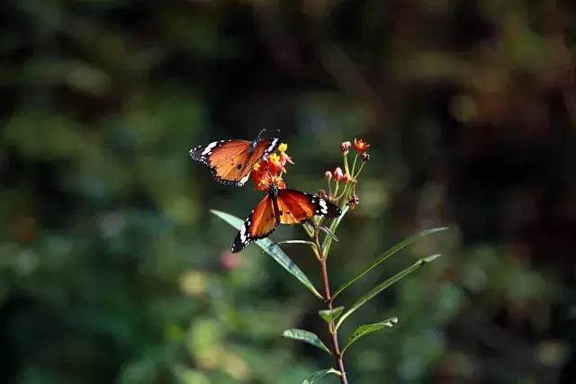 沂水地下大峡谷一日游路线,沂水大峡谷旅游感受