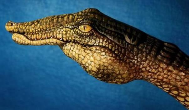 外国人太会玩了搞笑,外国人太会玩舞蹈