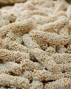 兴宁号称小南京,兴宁为什么没有发展