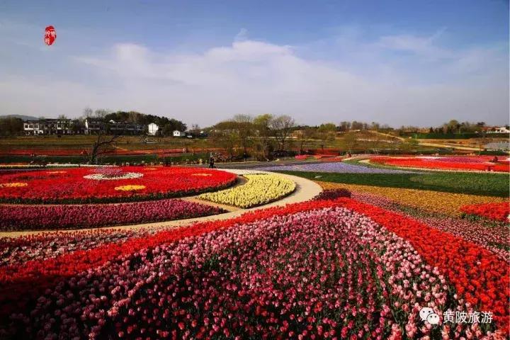 达人招募武汉,全国招募旅游达人直播