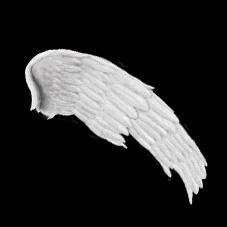 nike的logo正确就是正品吗,nike大logo搭配