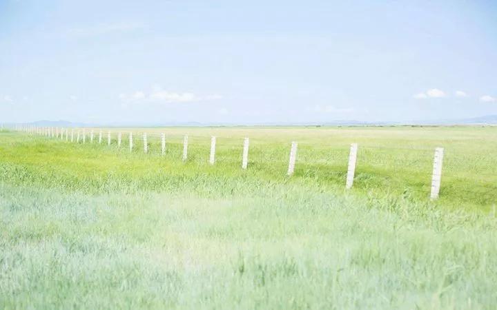 小说深水鱼雷,深水炸弹小说完结