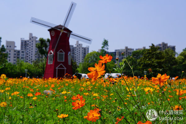 索尼a6000微单使用教程,索尼a6000微单拍摄教程