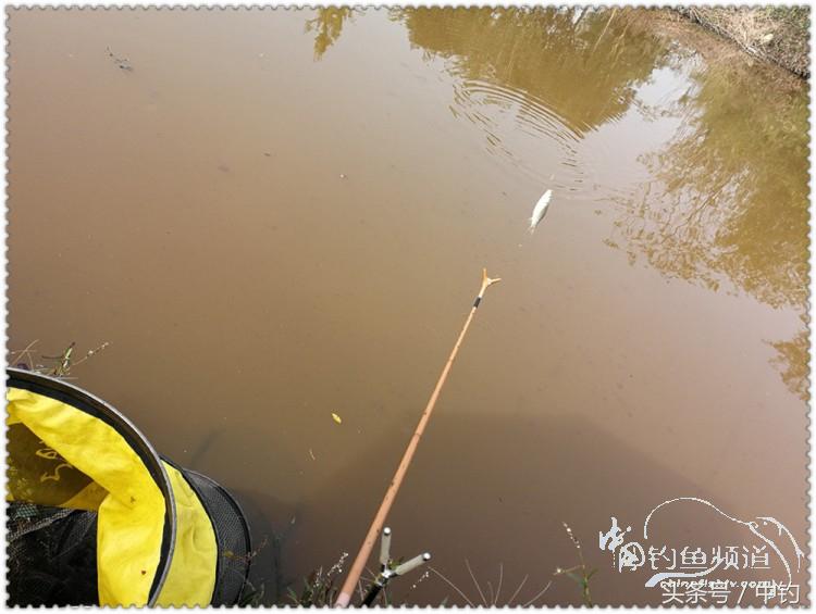 国庆节的来历,国庆头像